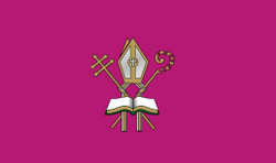 POL Muszyna flag